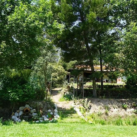 旧阿尔贝加里亚Quinta Do Vale Grande别墅 外观 照片