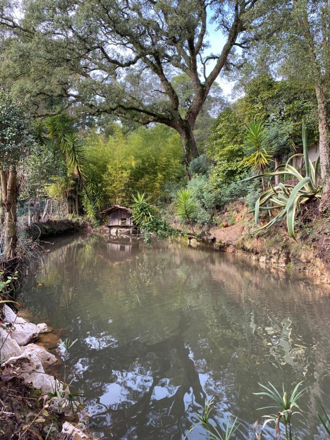 旧阿尔贝加里亚Quinta Do Vale Grande别墅 外观 照片