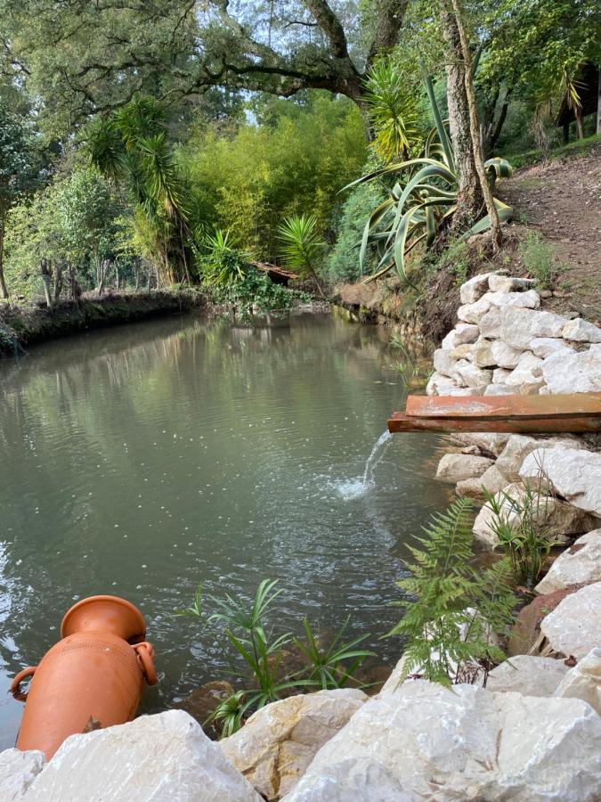 旧阿尔贝加里亚Quinta Do Vale Grande别墅 外观 照片